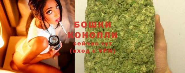 спиды Инсар