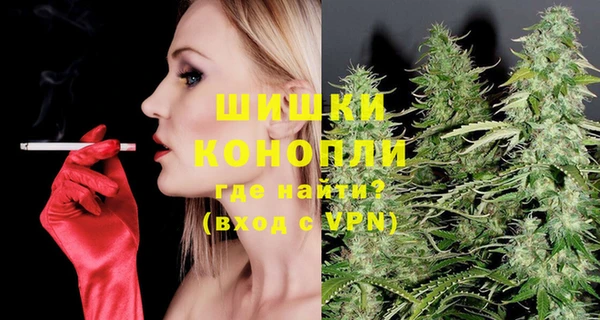 спиды Инсар