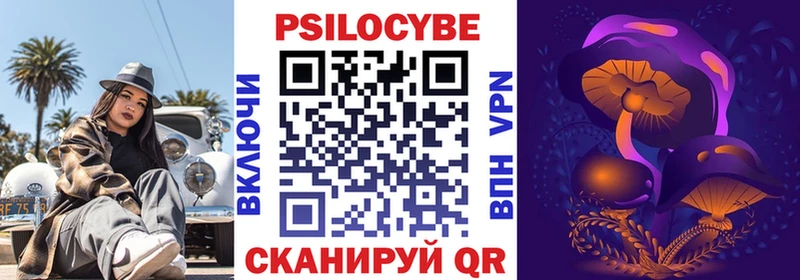 Купить где  Ахтубинск  Галлюциногенные грибы Psilocybe 